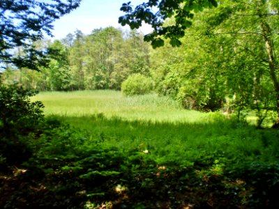 Soest Slangenbosje 11