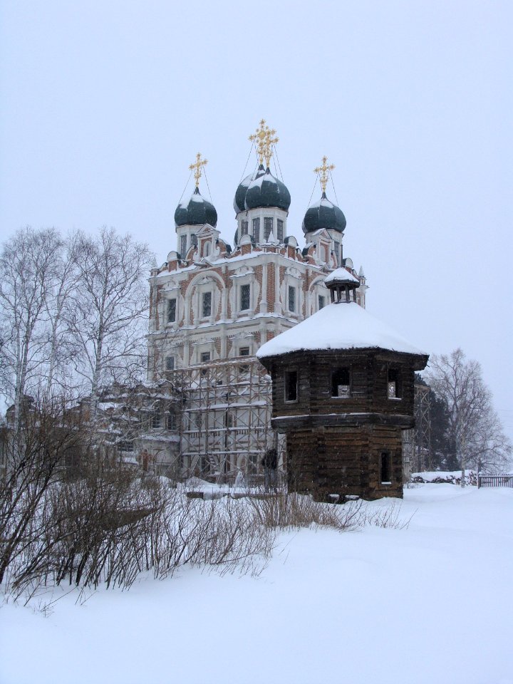 Solvychegodsk 10.01.2011 (17)