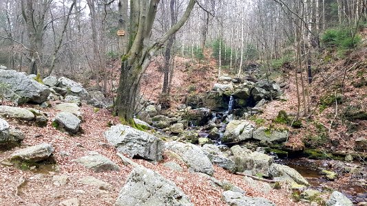 Solwaster-Cascade des Nutons (1)
