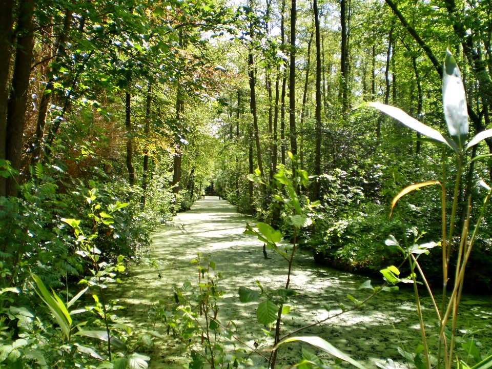 Soest Slangenbosje 09