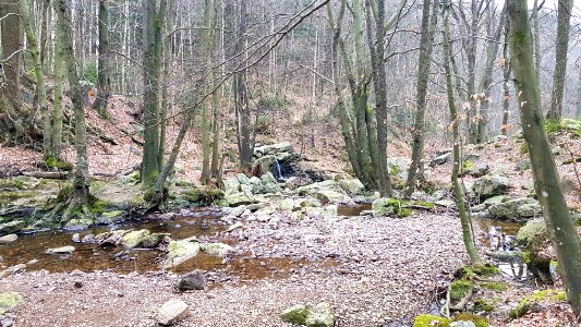 Solwaster-Cascade des Nutons (5)