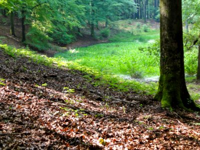 Solsche Gat1