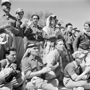 Soldaten van een eenheid Druzen uit het Israelische leger zien toe bij het danse, Bestanddeelnr 255-0977