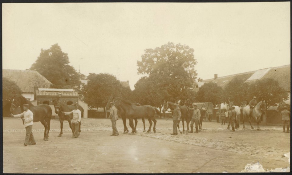 Soldaten verzorgen paarden op een plein, Bestanddeelnr 158-2262