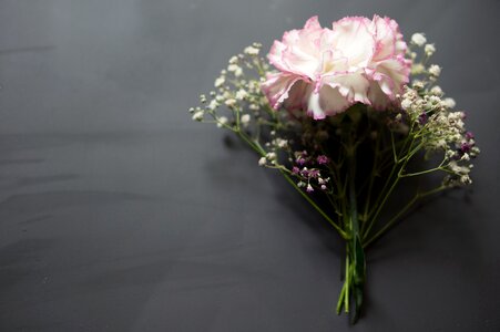 Carnation blackboard floral photo