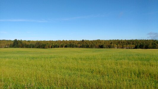 Natureza paisagem grama photo