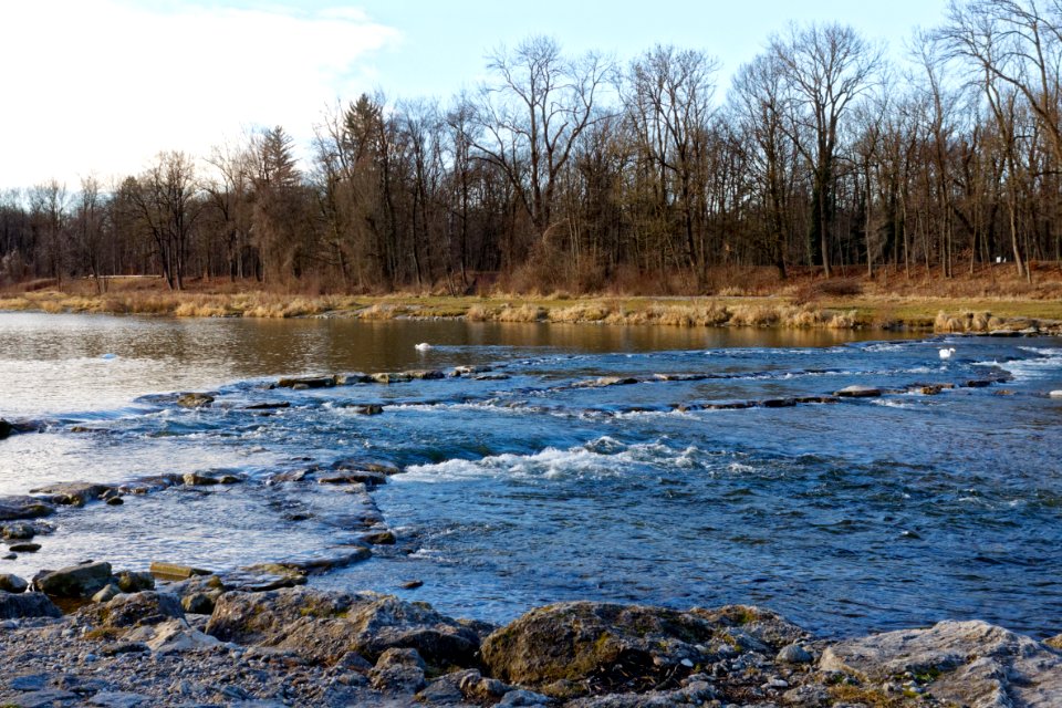 Sohlrampe Isar-bjs140207-02