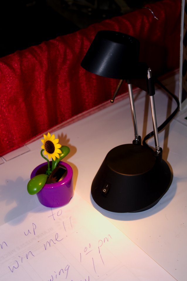 Solar-powered sunflower toy
