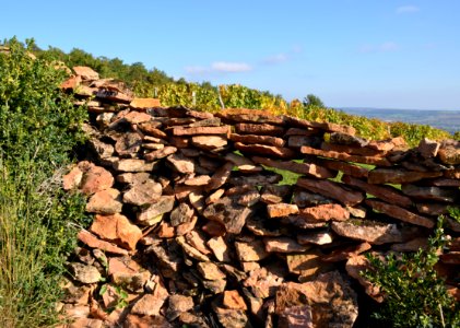 Solutré Mur pierres sèches 26102014