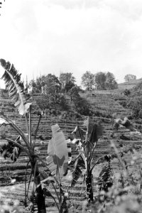 Soerabaja-sector. De dragers zitten op de grond met hun lading, terwijl de solda, Bestanddeelnr 4622