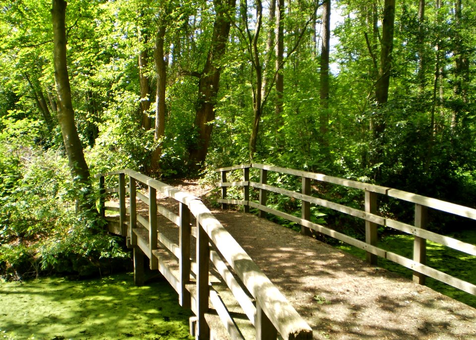 Soest Slangenbosje 10