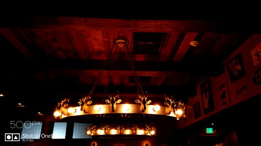 Shining Stags (255103867)