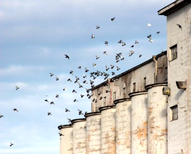 SOK Toppila Mill Oulu 20121014