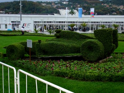 Sochi-Autodrom Landscape2