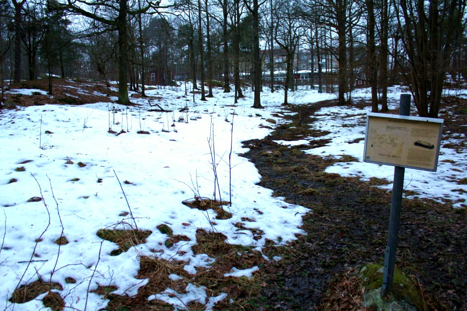 Solberga gravfält 2013a