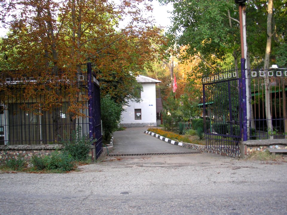 Sokolinoye Orlinuiy
