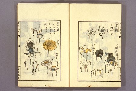 Shokugaku keigen by Udagawa Yoan. Edo Suharaya Ihachi, etc., 1837 - 055-014l