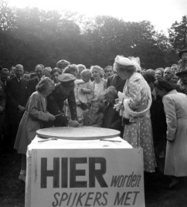 Soestdijk, Marijke timmers, Bestanddeelnr 903-4810