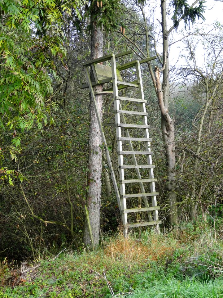 Shooting stand near Hainich reservation 2
