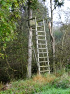 Shooting stand near Hainich reservation 2