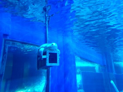 Shinagawa Aquarium 49
