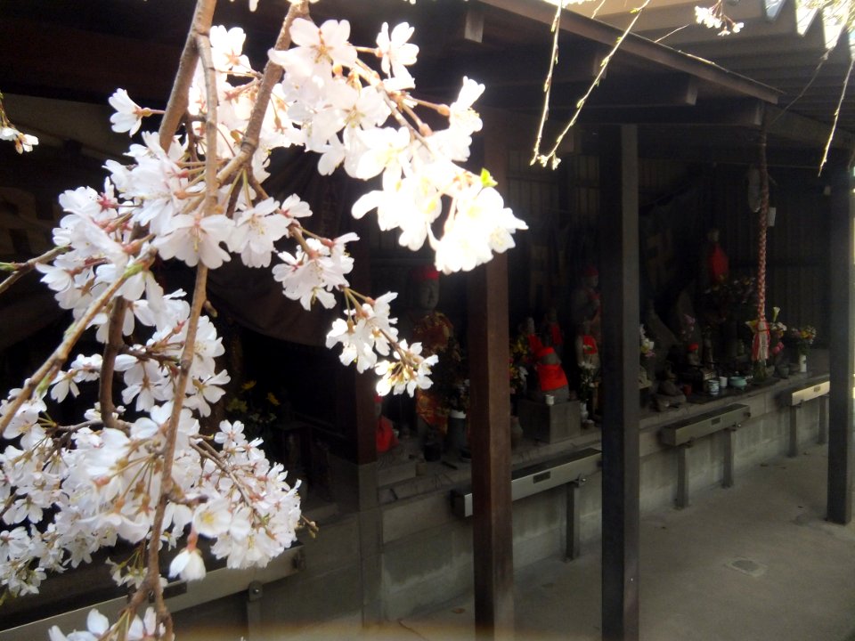 Sofuku-Temple-Fukuoka-Buddhist-Statues