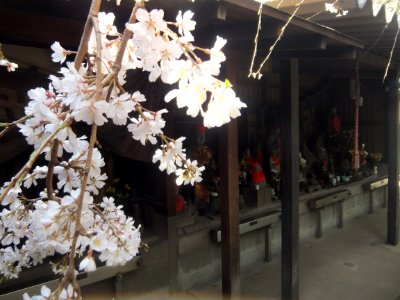 Sofuku-Temple-Fukuoka-Buddhist-Statues photo