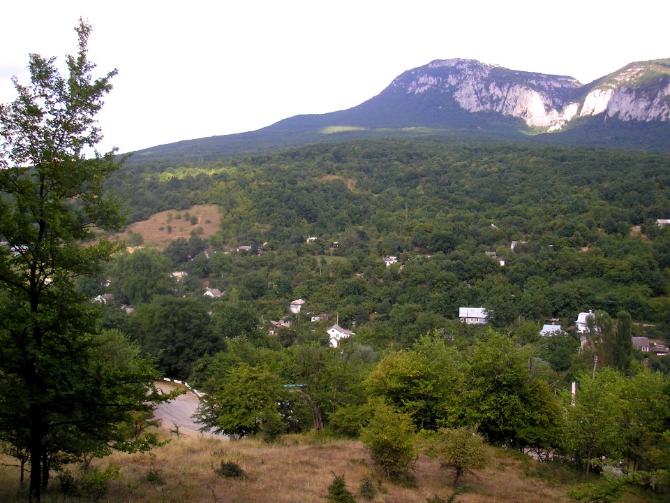 Sokolinoye 6