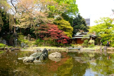 Shinchi Teien (神池庭園) - Yasukuni Shrine - Tokyo, Japan - DSC06115