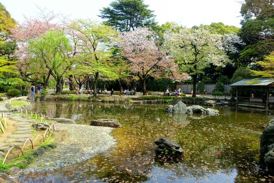 Shinchi Teien (神池庭園) - Yasukuni Shrine - Tokyo, Japan - DSC06130