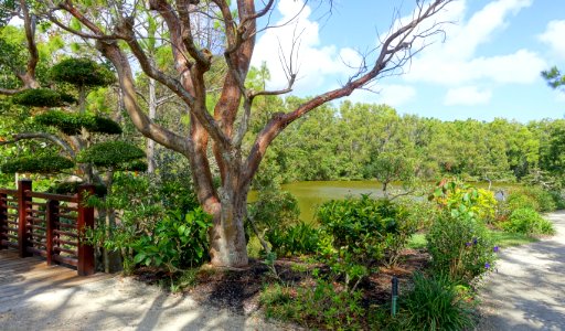 Shinden Garden - Morikami Museum and Japanese Gardens - Palm Beach County, Florida - DSC03316