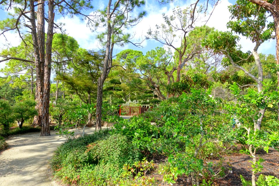 Shinden Garden - Morikami Museum and Japanese Gardens - Palm Beach County, Florida - DSC03310