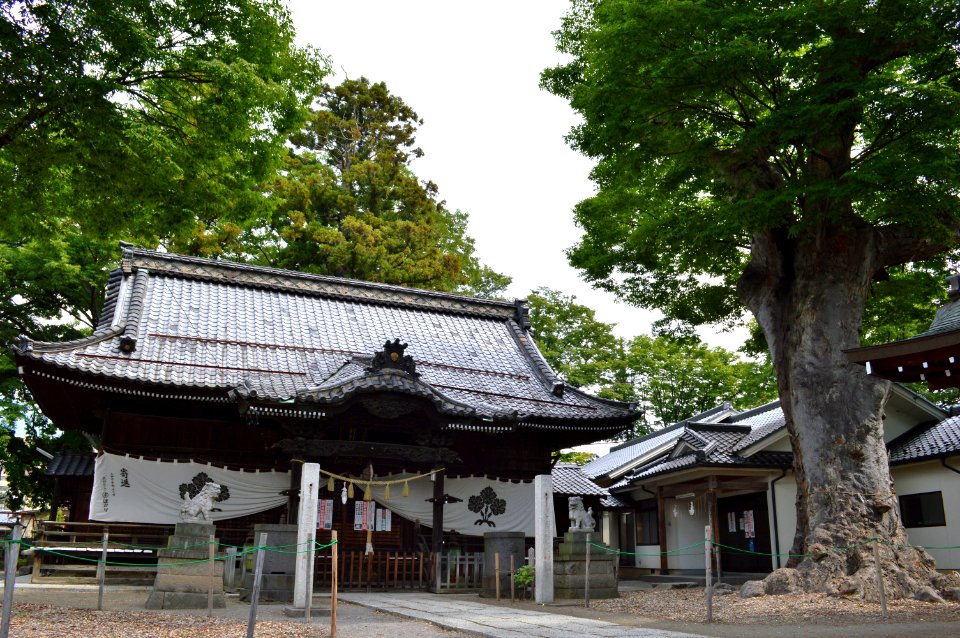 Shinano-omiya-sha haiden-2
