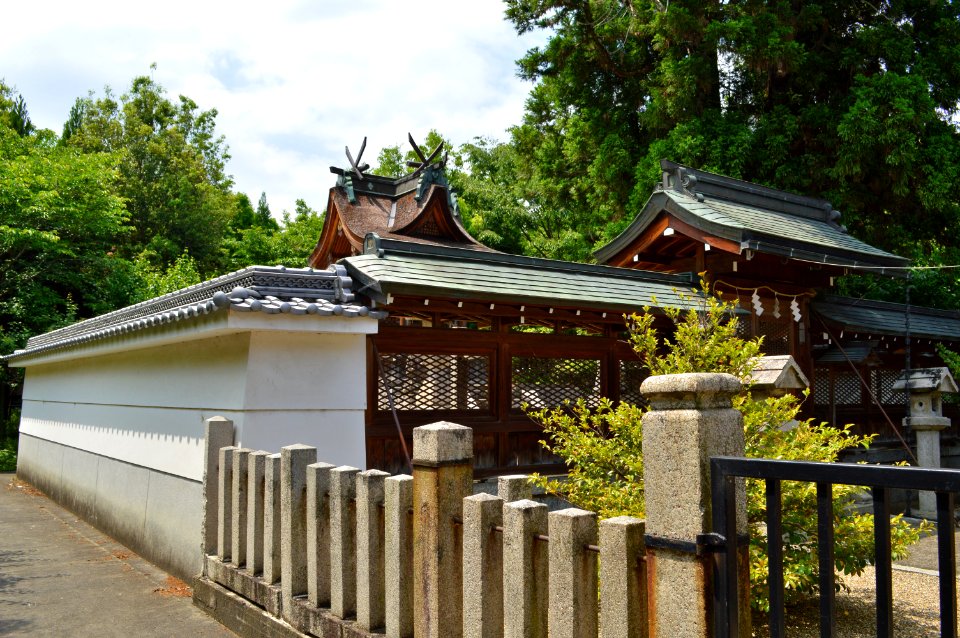 Sogatsuhiko-jinja, honden