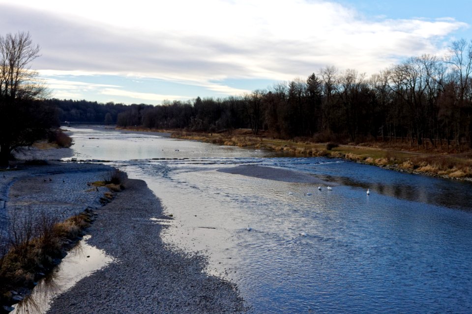 Sohlrampe Isar-bjs140207-01