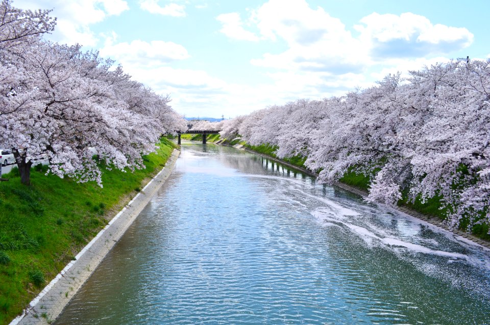 Soga River in Higashibojo, Kashihara