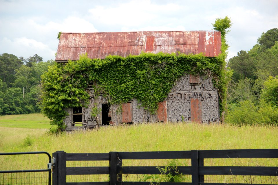 Shingle House, Franklin-Creighton Mine, Cherokee County, Georgia May 2017
