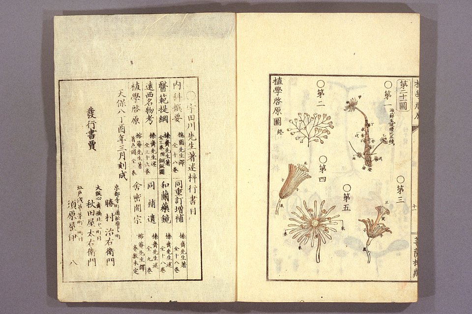 Shokugaku keigen by Udagawa Yoan. Edo Suharaya Ihachi, etc., 1837 - 055-017l