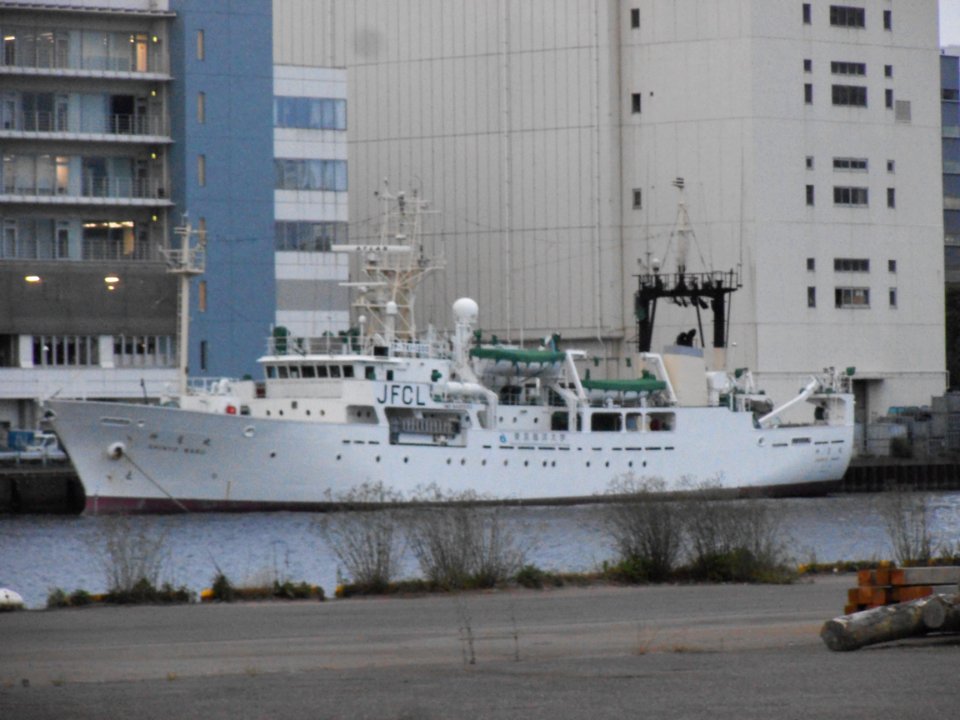 Shinyo-Maru III the training vessel of Tokyo University of Marine Science and Technology in Tokyo