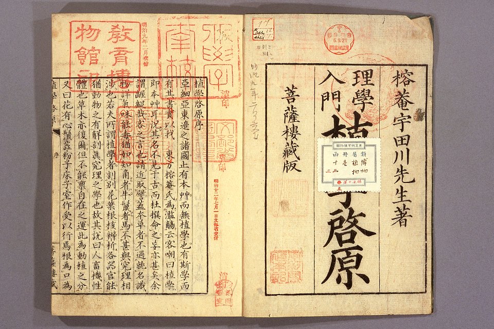 Shokugaku keigen by Udagawa Yoan. Edo Suharaya Ihachi, etc., 1837 - 055-001l