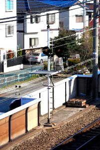 Shinro yokoku signal