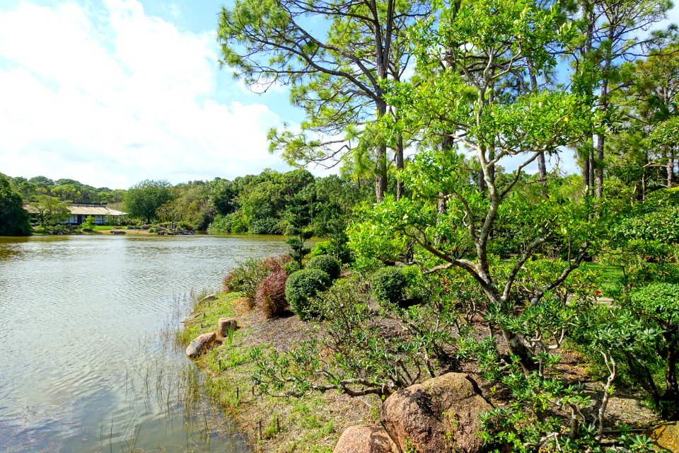 Shinden Garden - Morikami Museum and Japanese Gardens - Palm Beach County, Florida - DSC03320