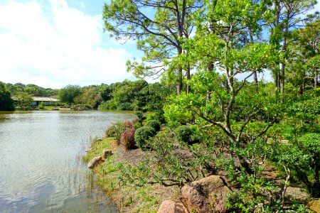 Shinden Garden - Morikami Museum and Japanese Gardens - Palm Beach County, Florida - DSC03320