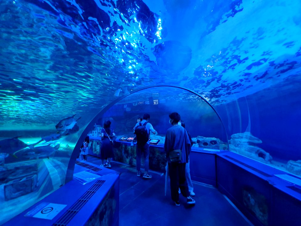 Shinagawa Aquarium 51