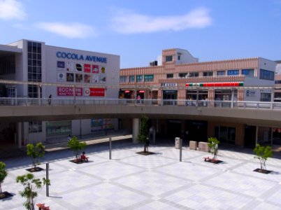 Shintoyohashi Station 110722