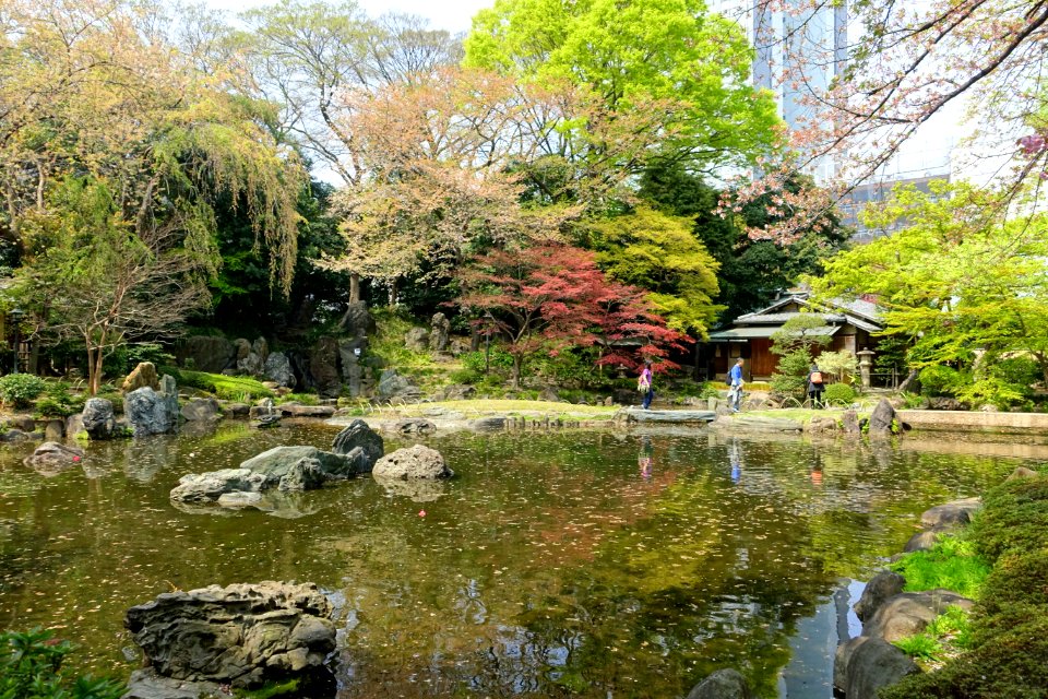 Shinchi Teien (神池庭園) - Yasukuni Shrine - Tokyo, Japan - DSC06120