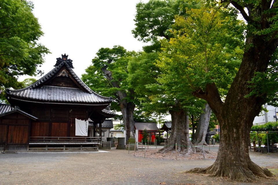 Shinano-omiya-sha keidai