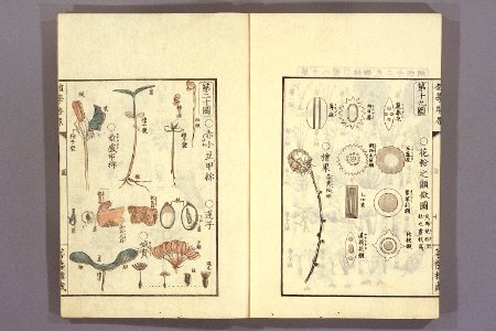 Shokugaku keigen by Udagawa Yoan. Edo Suharaya Ihachi, etc., 1837 - 055-016l
