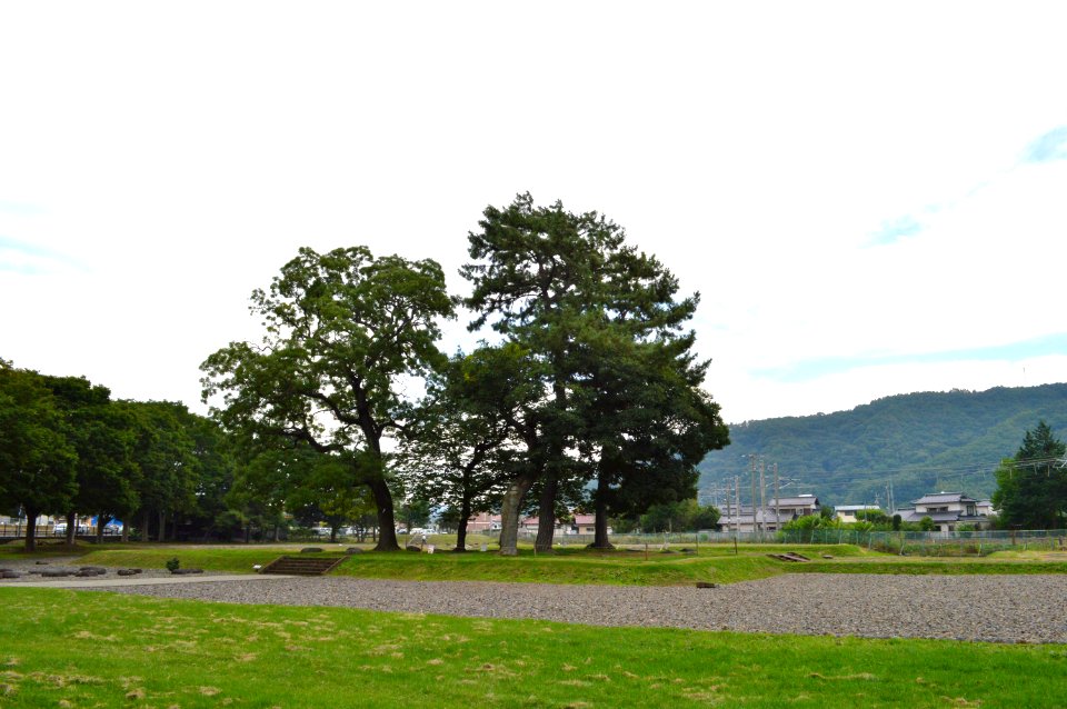Shinano Kokubunji-ato zenkei