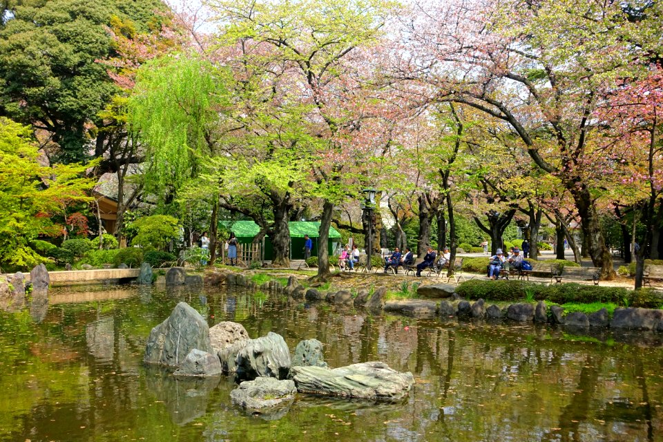 Shinchi Teien (神池庭園) - Yasukuni Shrine - Tokyo, Japan - DSC06126
